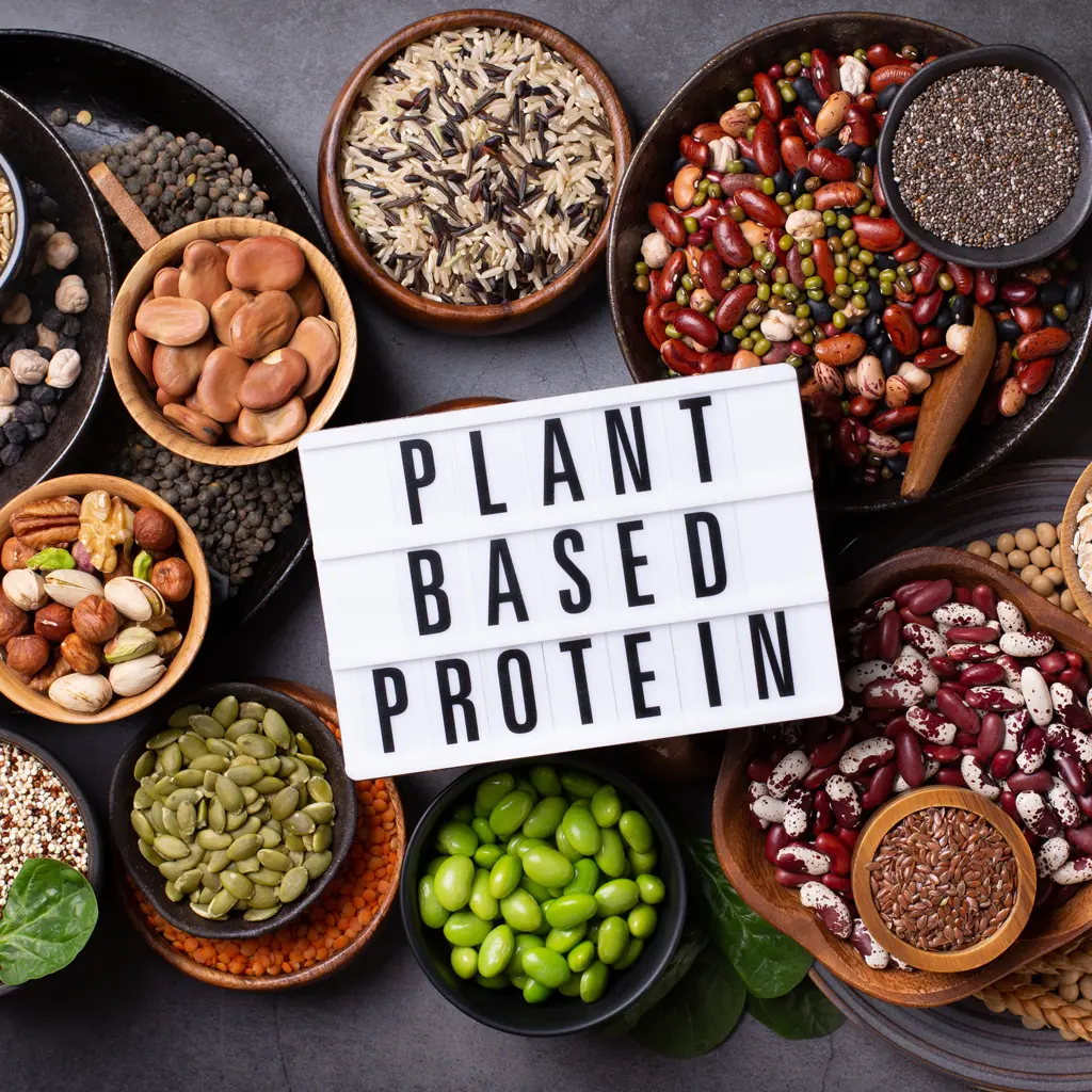 Top view of different sources of plant based protein.